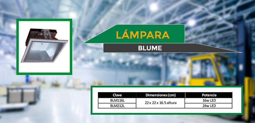 blume-2